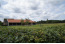 Recreatiepark Het Eperwoud met paard VMP029
